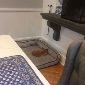 Meet your Posher, Victoria